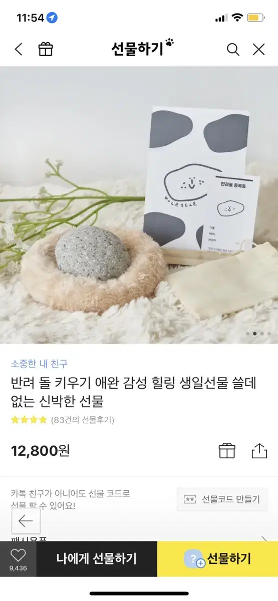 반려 돌 키우기